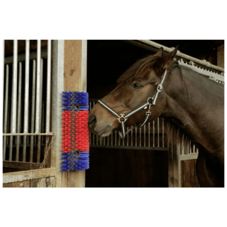 Brosse de nettoyage pour chevaux, bovins et caprins - 2