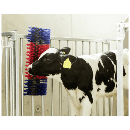 Brosse de nettoyage pour chevaux, bovins et caprins - 3