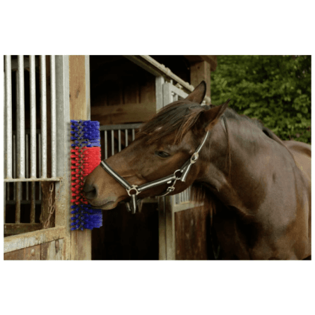 Brosse de nettoyage pour chevaux, bovins et caprins - 4