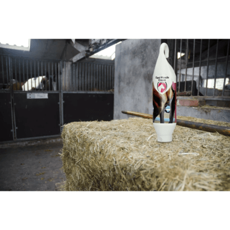 Excellent Horse Muscle Cream 1 kg - 2