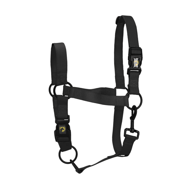 Licol Excellent Essential Noir Taille S