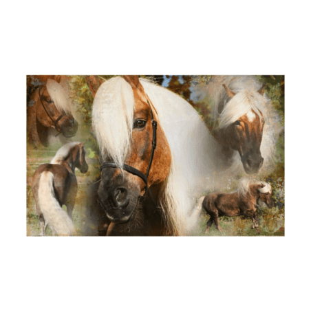 Excellent Horse Hi Gloss Spray 500 ml - 3