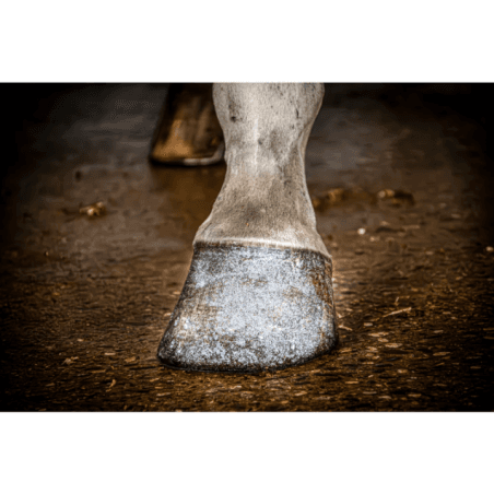 Excellent Horse Hi Gloss Glitter Hoof Polish Silver 150 ml - 2