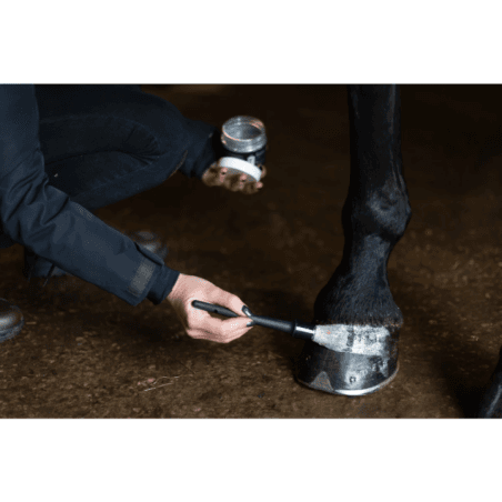 Excellent Horse Hi Gloss Glitter Hoof Polish Silver 150 ml - 3