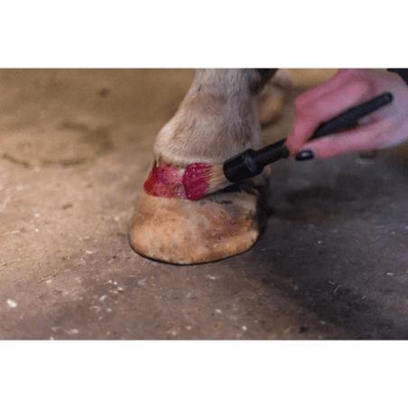 Excellent Horse Hi Gloss Glitter Hoof Polish Rose 150 ml - 3
