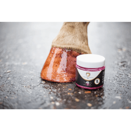 Excellent Horse Hi Gloss Glitter Hoof Polish Rose 150 ml - 4