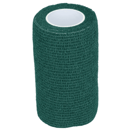 Excellent Bande de polo 10 cm Vert - 1