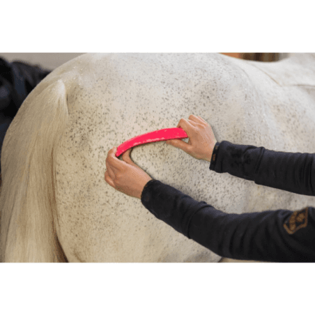 Excellent Horse Grooming Brush M Rose - 4